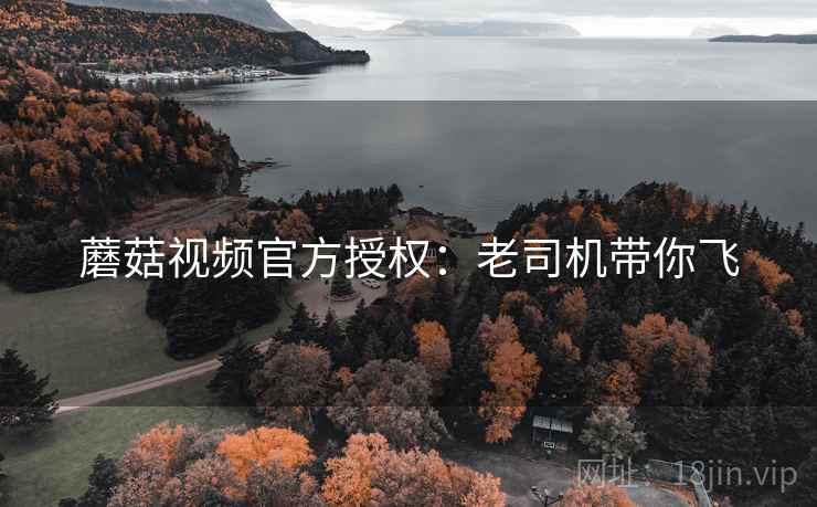 蘑菇视频官方授权：老司机带你飞