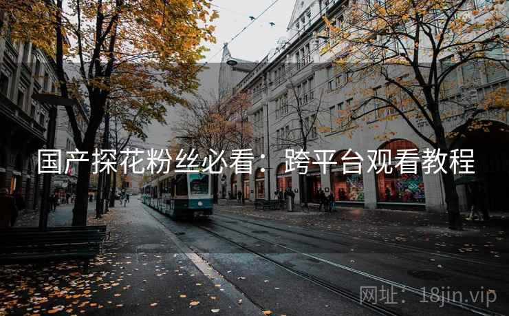 国产探花粉丝必看:跨平台观看教程