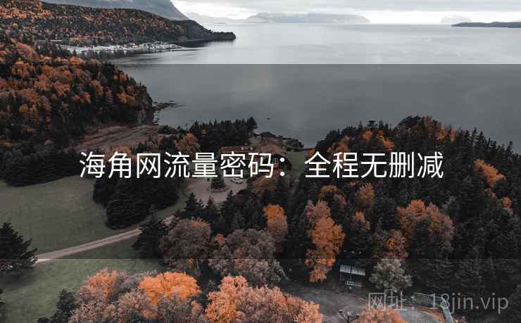 海角网流量密码：全程无删减