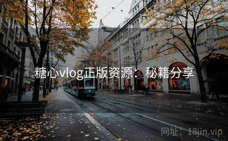 糖心vlog正版资源：秘籍分享